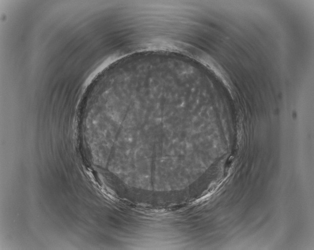 X0000087630975200705311324