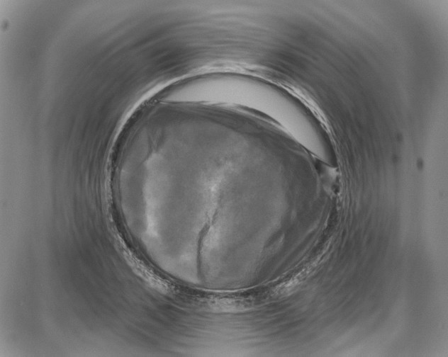 X0000087630976200705311324