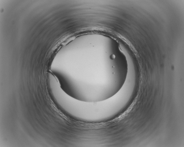 X0000087630977200705311324