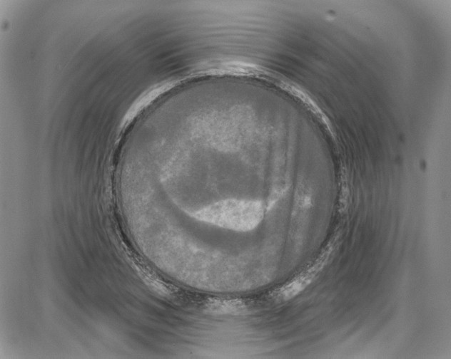 X0000087630978200705311324