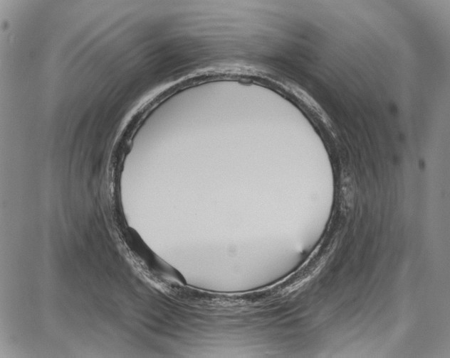 X0000087630981200705311324