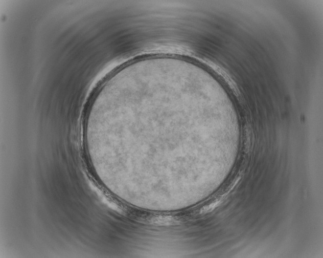 X0000087630982200705311324