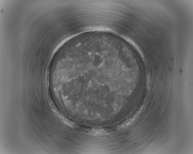 X0000087630983200705311324