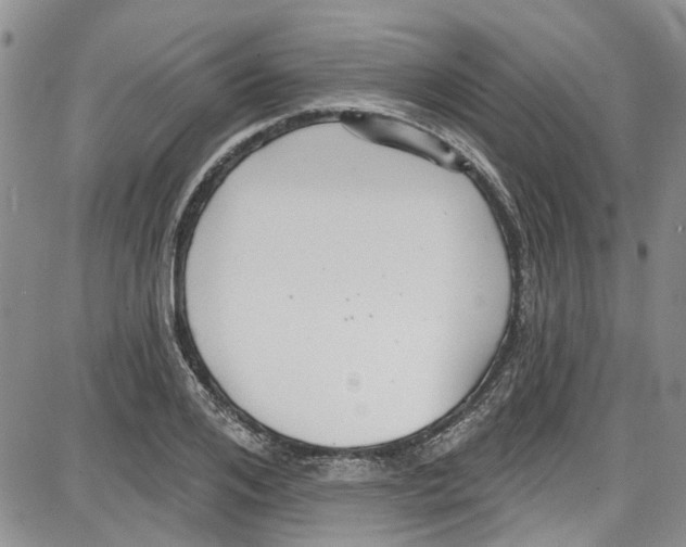 X0000087630984200705311324