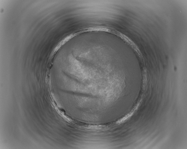 X0000087630985200705311324