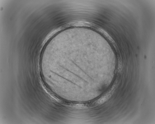 X0000087630986200705311324