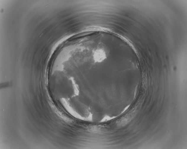 X0000087630987200705311324