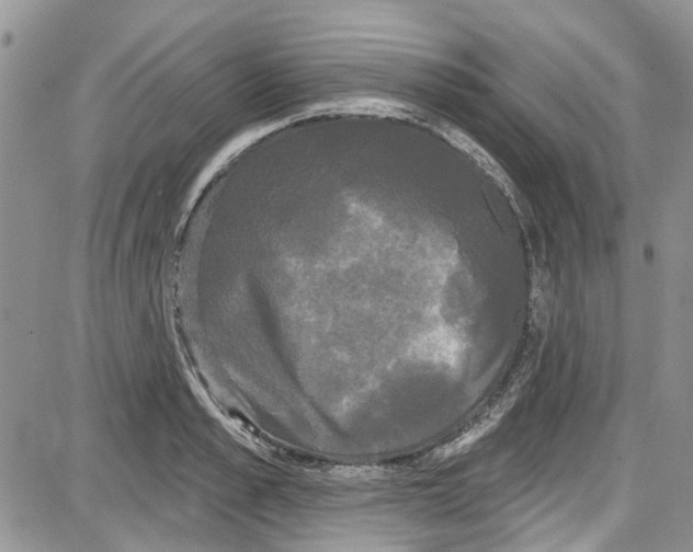 X0000087630989200705311324