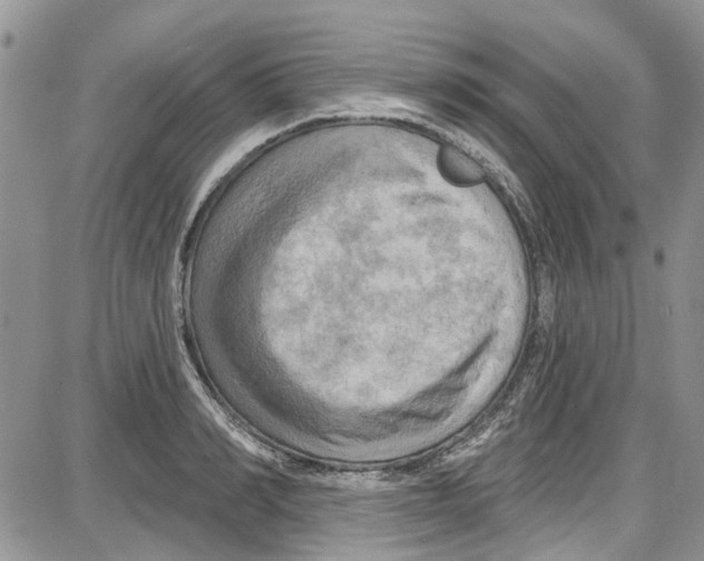 X0000087630990200705311324