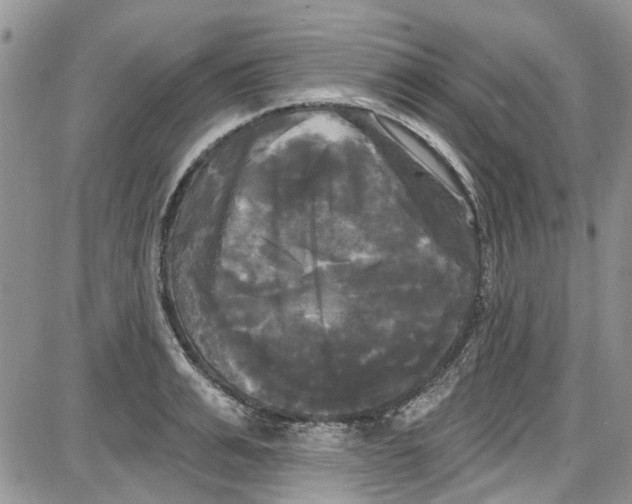 X0000087630991200705311324