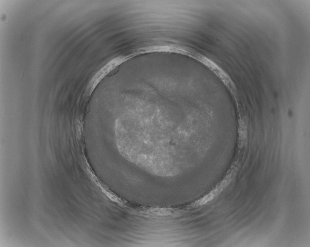 X0000087630993200705311324