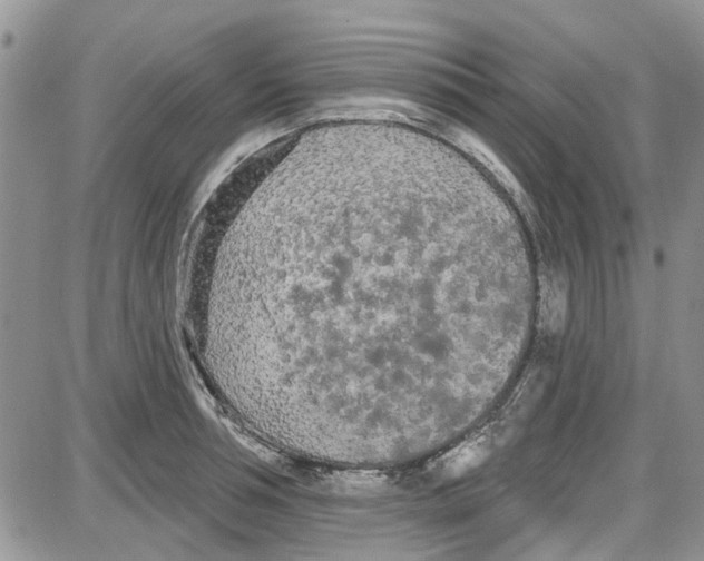 X0000087630994200705311324