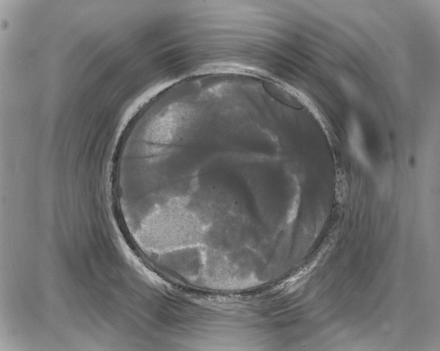 X0000087630995200705311324