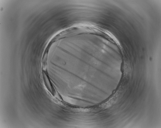 X0000087630996200705311324