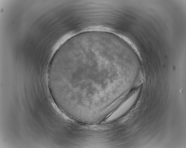 X0000087630998200705311324