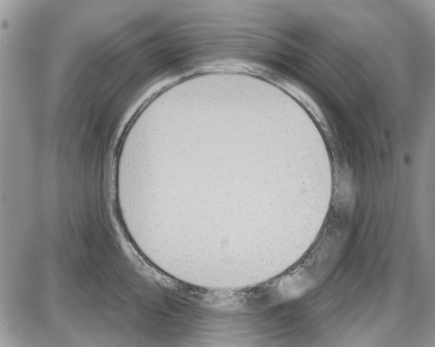 X0000087631000200705311324