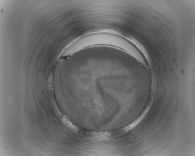 X0000087631001200705311324