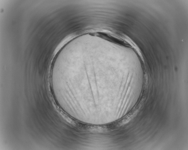 X0000087631002200705311324