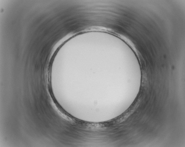 X0000087631003200705311324