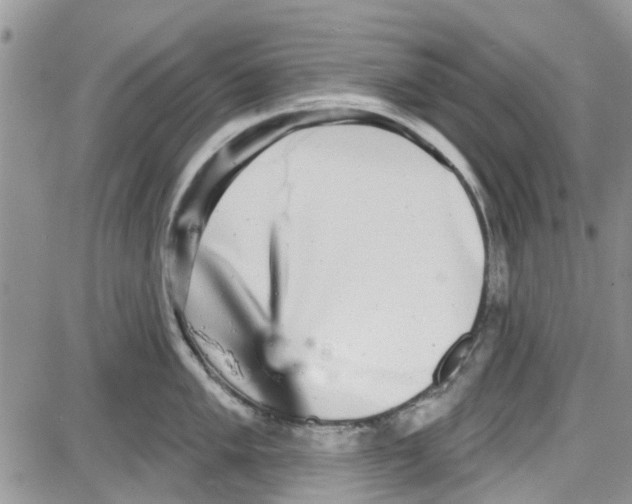 X0000087631005200705311324