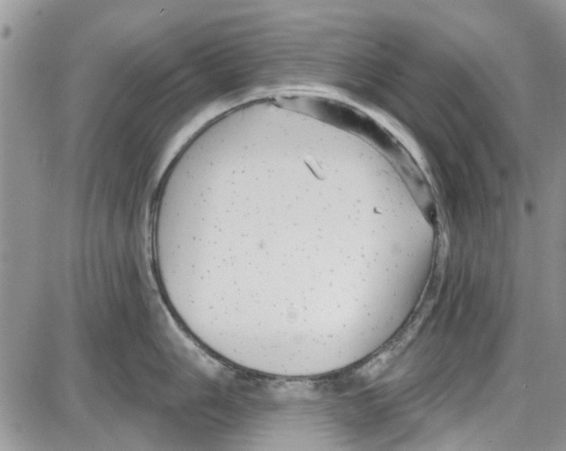 X0000087631006200705311324