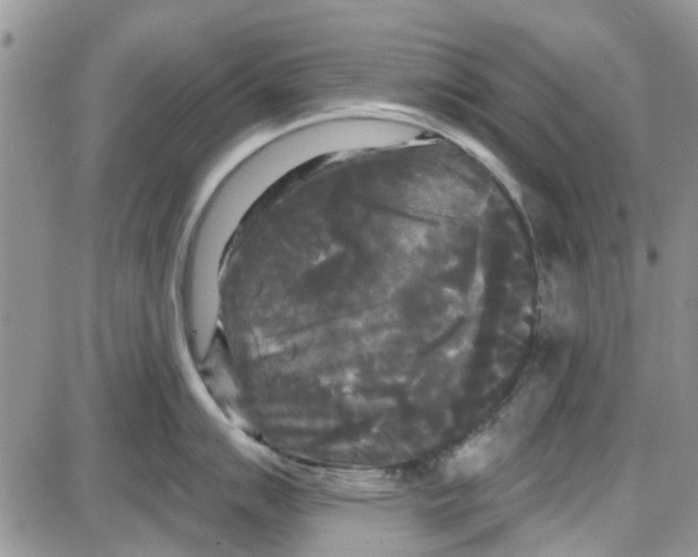 X0000087631007200705311324