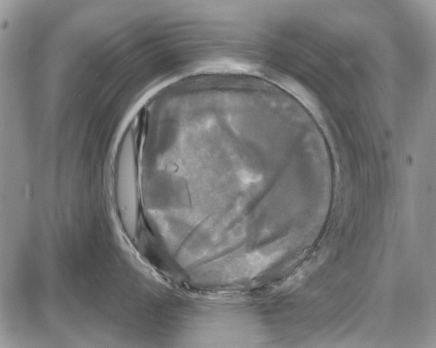 X0000087631008200705311324