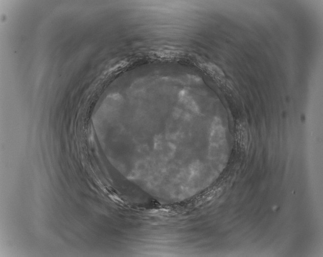 X0000087631009200705311323