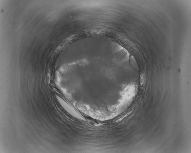 X0000087631011200705311323