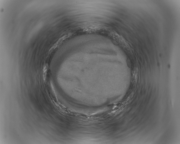 X0000087631012200705311323