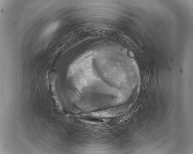 X0000087631013200705311323