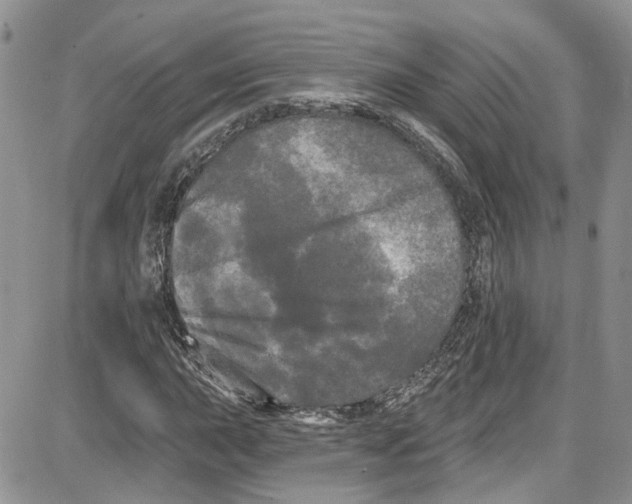 X0000087631015200705311323