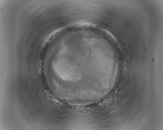 X0000087631016200705311323