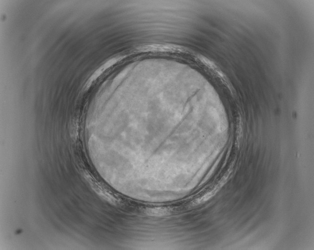 X0000087631017200705311323