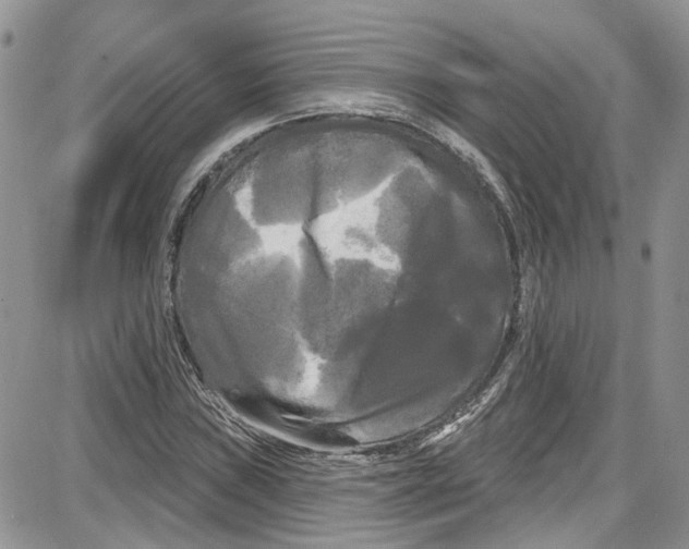 X0000087631019200705311323