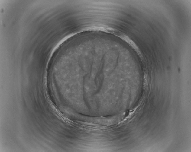 X0000087631020200705311323