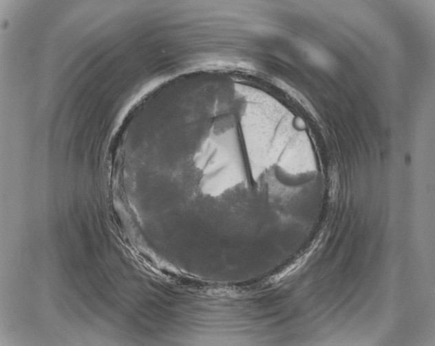 X0000087631021200705311323