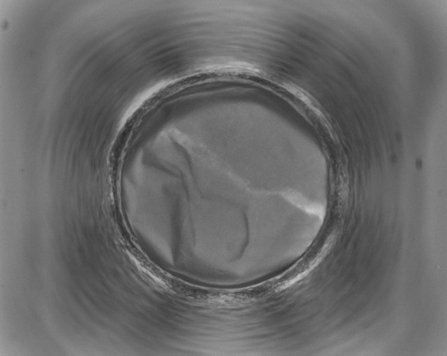 X0000087631022200705311323