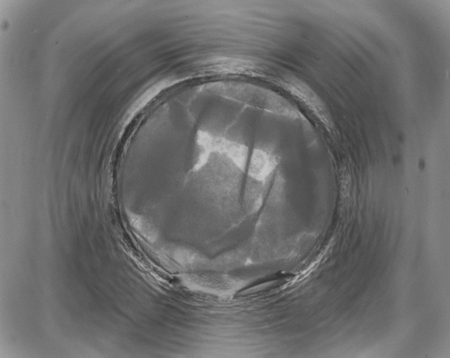 X0000087631023200705311323