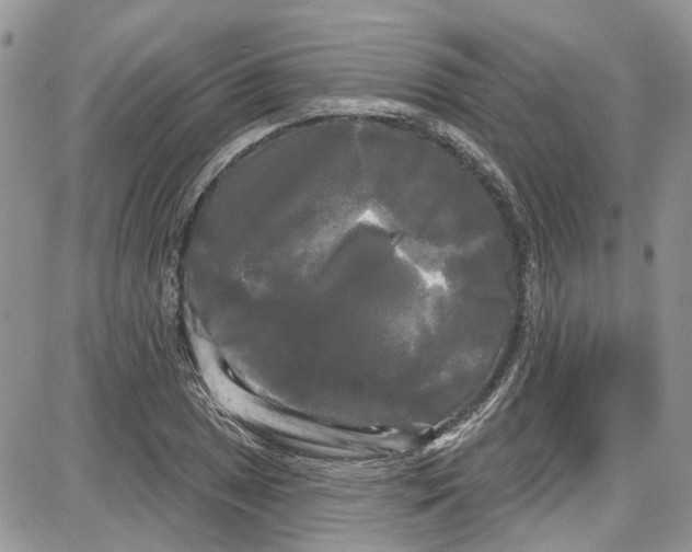 X0000087631025200705311323