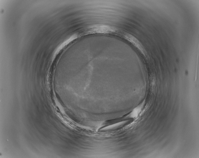 X0000087631026200705311323