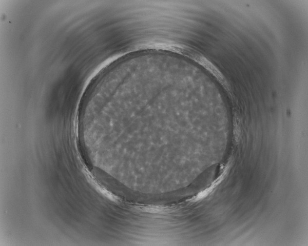 X0000087631028200705311323