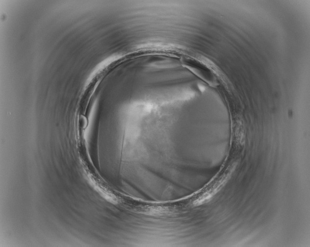 X0000087631030200705311323