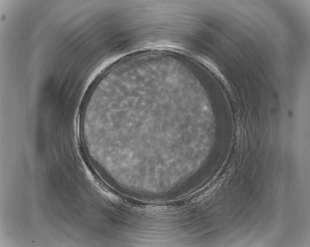 X0000087631032200705311323