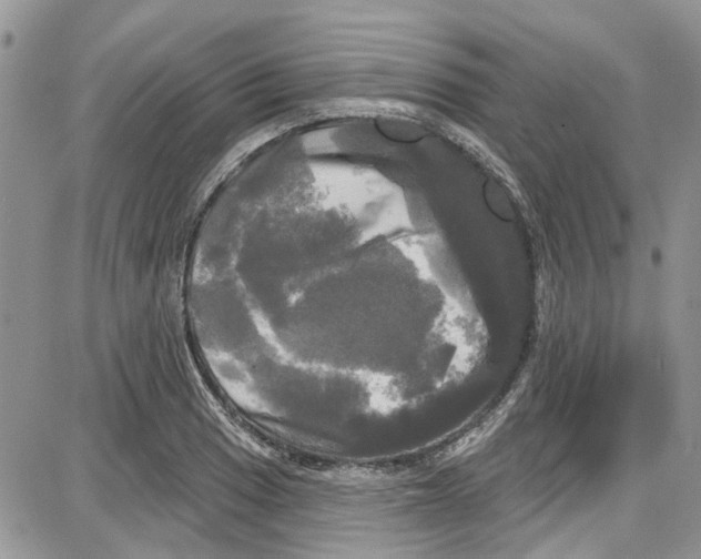 X0000087631033200705311323