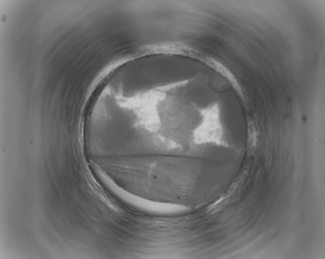 X0000087631035200705311323