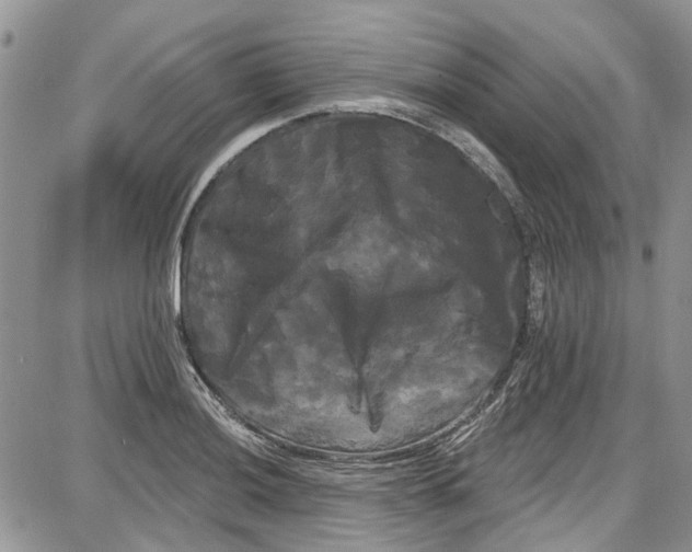 X0000087631036200705311323