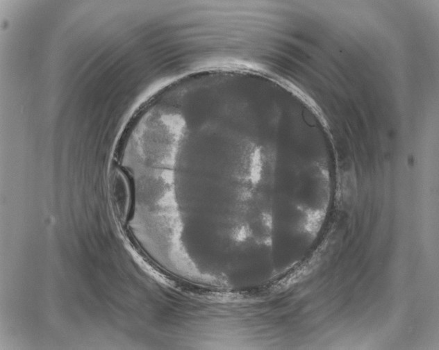 X0000087631037200705311323