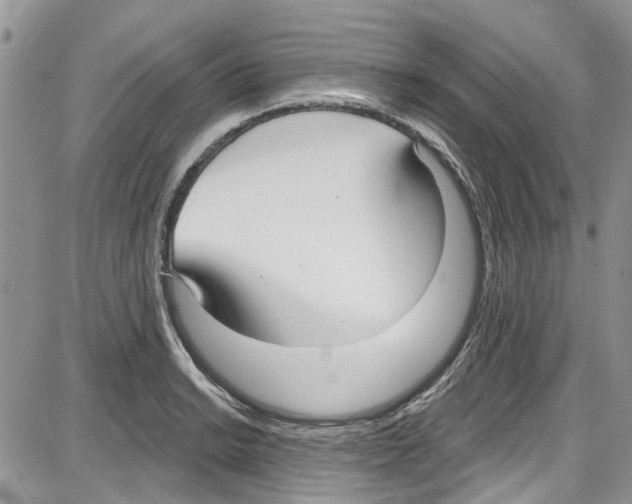 X0000087631038200705311323