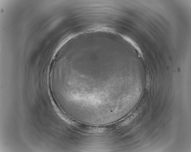 X0000087631039200705311323